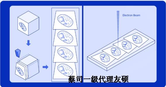 蚌埠蔡司蚌埠扫描电镜